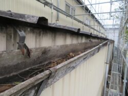 守谷市の工場　軒樋交換前