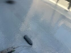 柏市ポラス注文住宅のベランダ防水作業中4