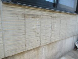 施工前の外壁に見られるコケや汚れ