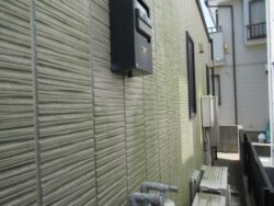 施工前の北側外壁に発生したコケ